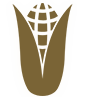 iconImg2